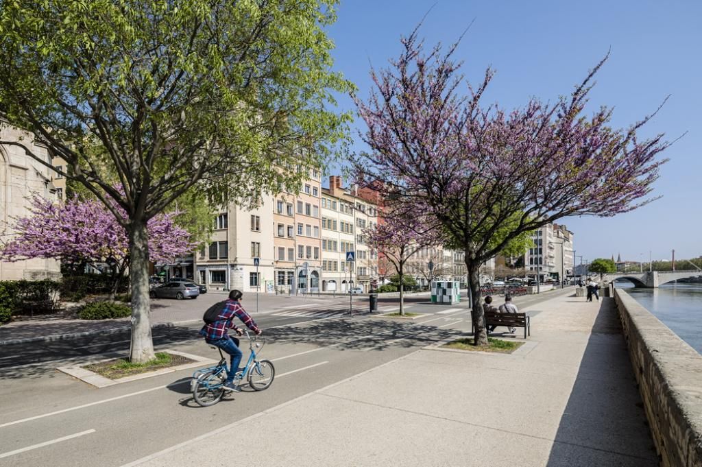 Explorer la ville de Lyon en vélo