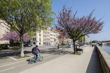 Explorer la ville de Lyon en vélo
