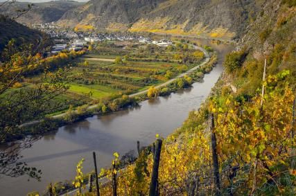Vignobles et vins de Lyon: excursion dans les crus du Beaujolais depuis le Boscolo Lyon